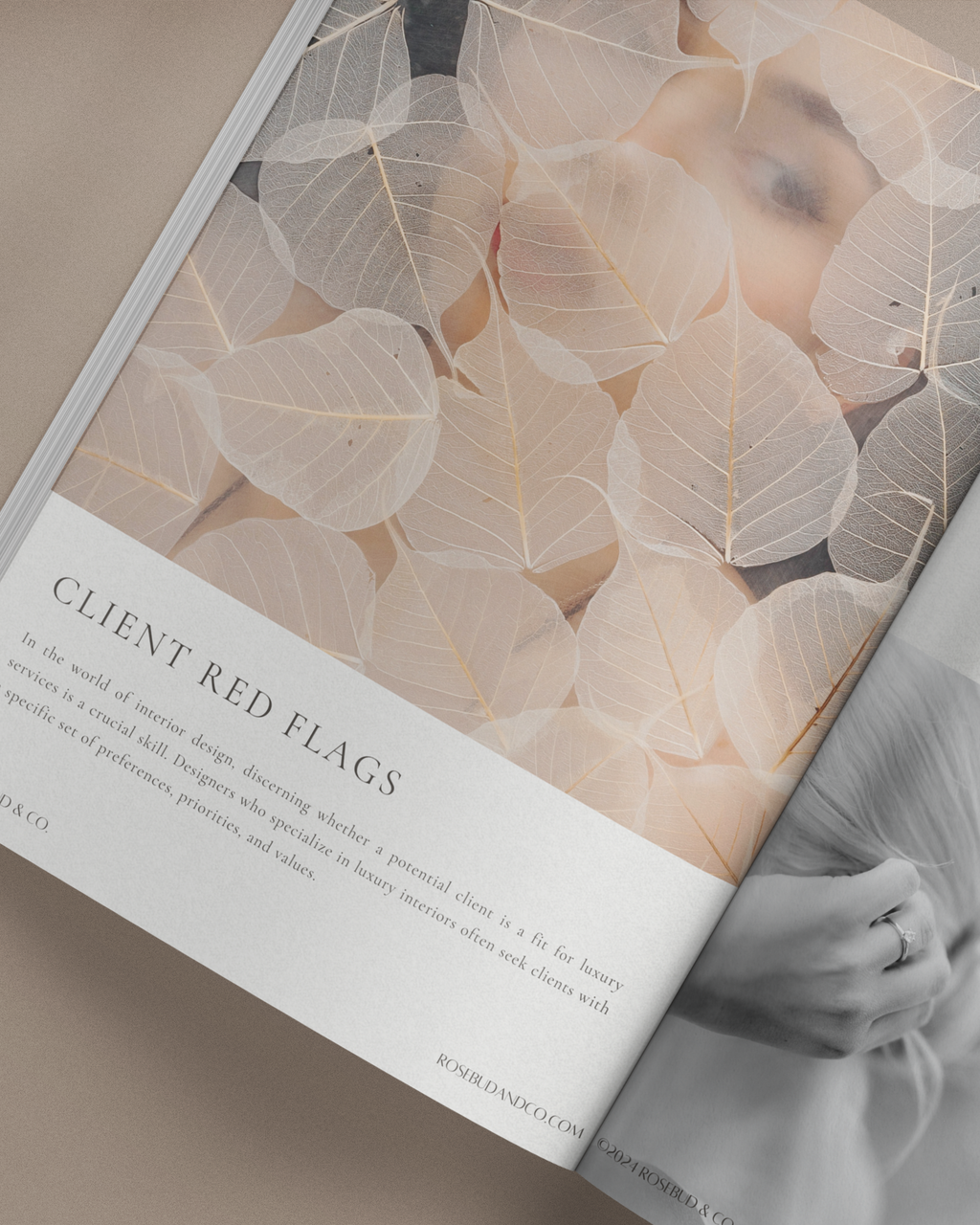 Luxury Clients Workbook for interior designers—62-page PDF guide featuring pricing tools, client attraction strategies, and business worksheets for growing a luxury design firm.